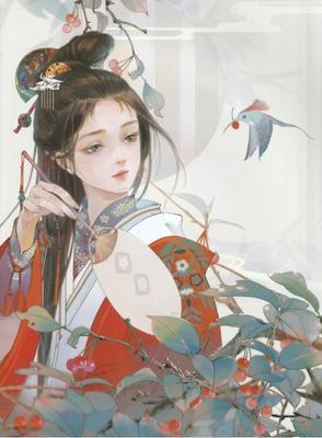 高义白洁小说